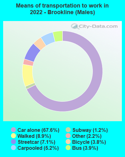 Means of transportation to work in 2022 - Brookline (Males)