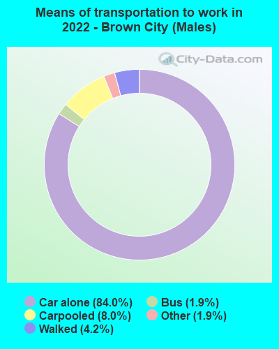 Means of transportation to work in 2022 - Brown City (Males)