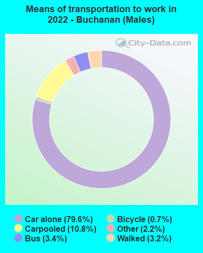 Means of transportation to work in 2022 - Buchanan (Males)