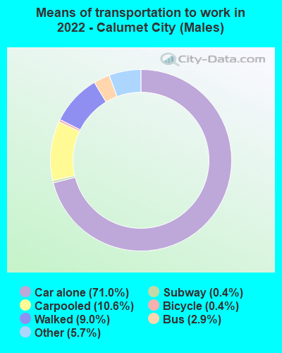 Means of transportation to work in 2022 - Calumet City (Males)