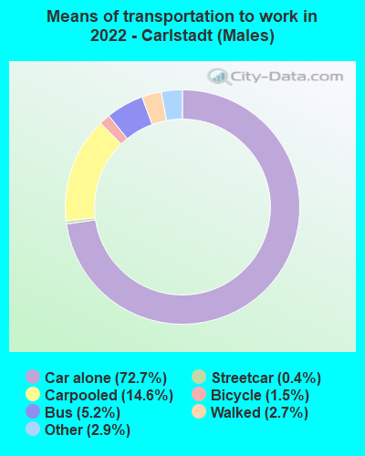 Means of transportation to work in 2022 - Carlstadt (Males)