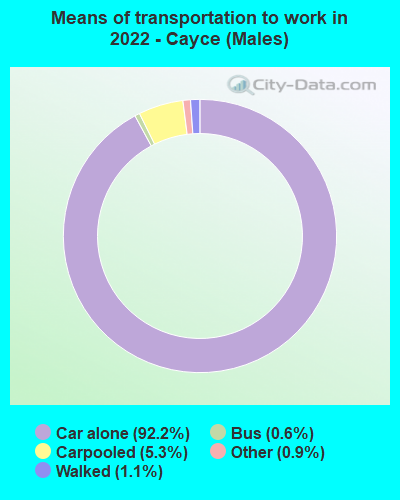 Means of transportation to work in 2022 - Cayce (Males)