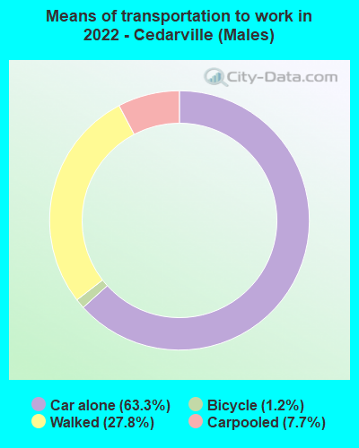 Means of transportation to work in 2022 - Cedarville (Males)