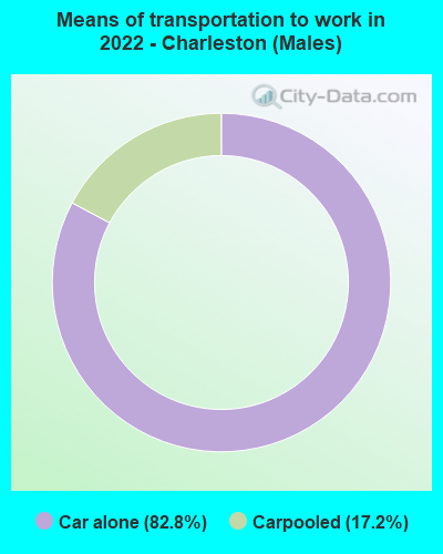 Means of transportation to work in 2022 - Charleston (Males)