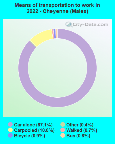 Means of transportation to work in 2022 - Cheyenne (Males)