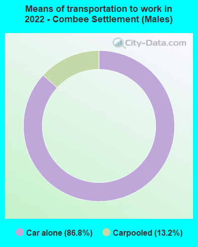 Means of transportation to work in 2022 - Combee Settlement (Males)