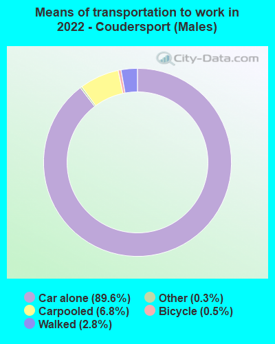 Means of transportation to work in 2022 - Coudersport (Males)