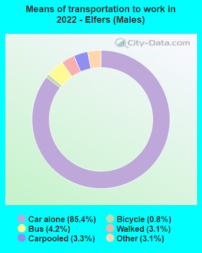 Means of transportation to work in 2022 - Elfers (Males)