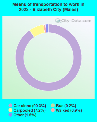 Means of transportation to work in 2022 - Elizabeth City (Males)