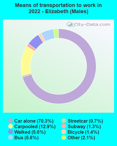 Means of transportation to work in 2022 - Elizabeth (Males)