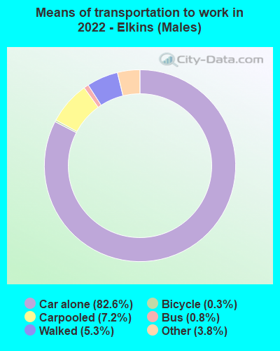 Means of transportation to work in 2022 - Elkins (Males)