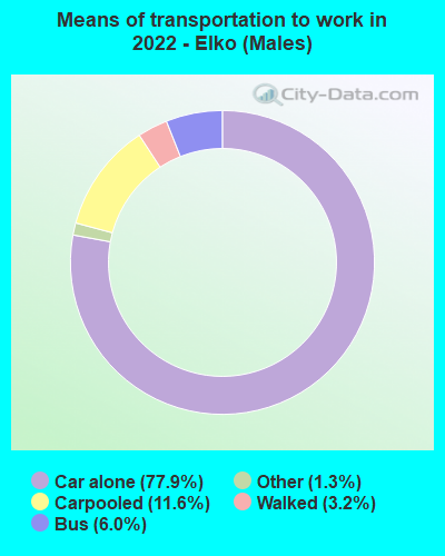 Means of transportation to work in 2022 - Elko (Males)