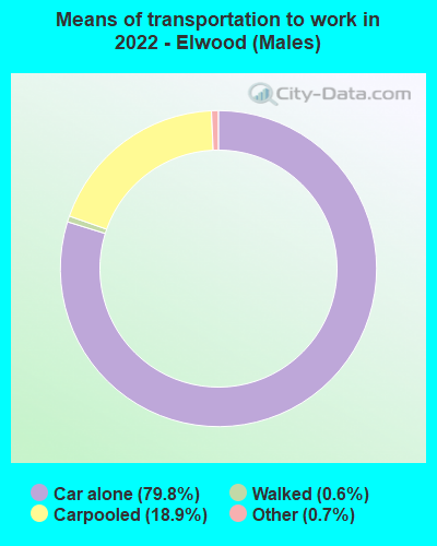 Means of transportation to work in 2022 - Elwood (Males)