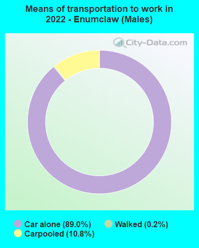 Means of transportation to work in 2022 - Enumclaw (Males)