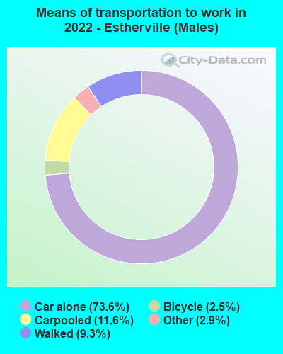 Means of transportation to work in 2022 - Estherville (Males)