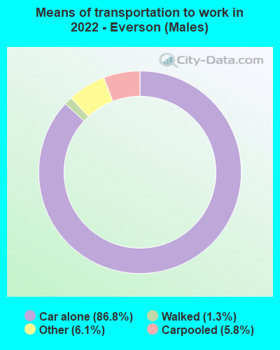 Means of transportation to work in 2022 - Everson (Males)