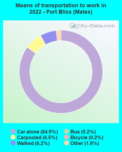 Means of transportation to work in 2022 - Fort Bliss (Males)