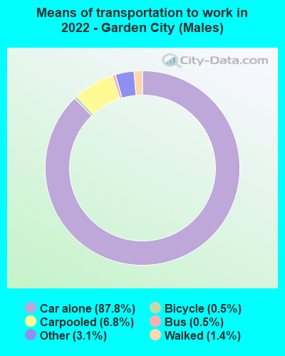 Means of transportation to work in 2022 - Garden City (Males)