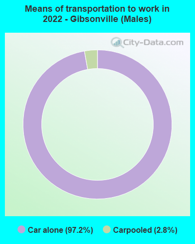 Means of transportation to work in 2022 - Gibsonville (Males)