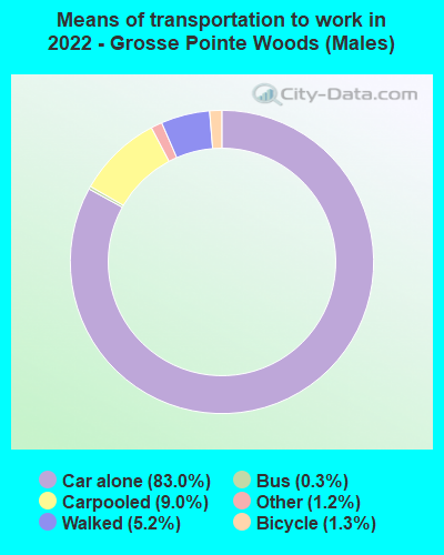 Means of transportation to work in 2022 - Grosse Pointe Woods (Males)