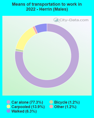 Means of transportation to work in 2022 - Herrin (Males)