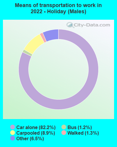 Means of transportation to work in 2022 - Holiday (Males)
