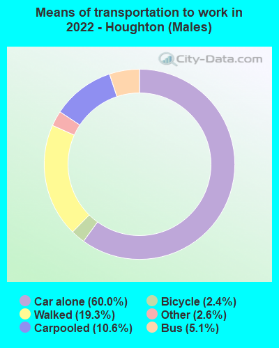 Means of transportation to work in 2022 - Houghton (Males)