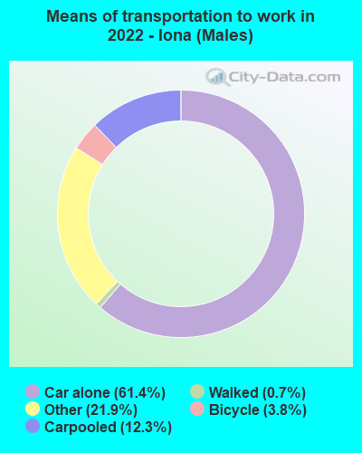 Means of transportation to work in 2022 - Iona (Males)