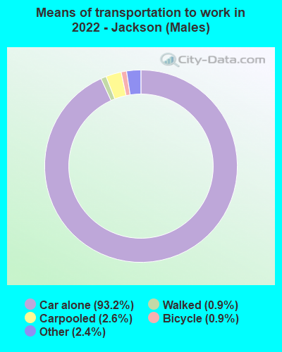 Means of transportation to work in 2022 - Jackson (Males)