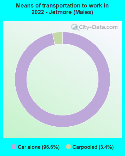 Means of transportation to work in 2022 - Jetmore (Males)