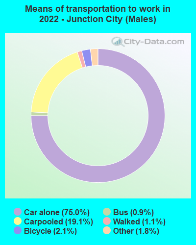 Means of transportation to work in 2022 - Junction City (Males)