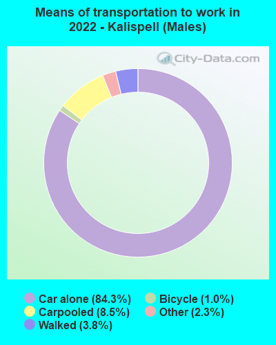 Means of transportation to work in 2022 - Kalispell (Males)