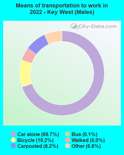 Means of transportation to work in 2022 - Key West (Males)