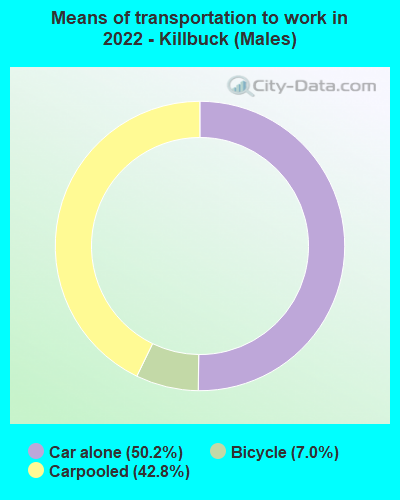 Means of transportation to work in 2022 - Killbuck (Males)