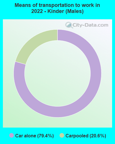 Means of transportation to work in 2022 - Kinder (Males)