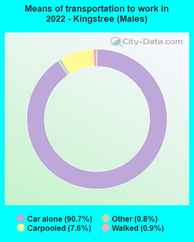 Means of transportation to work in 2022 - Kingstree (Males)