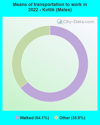 Means of transportation to work in 2022 - Kotlik (Males)