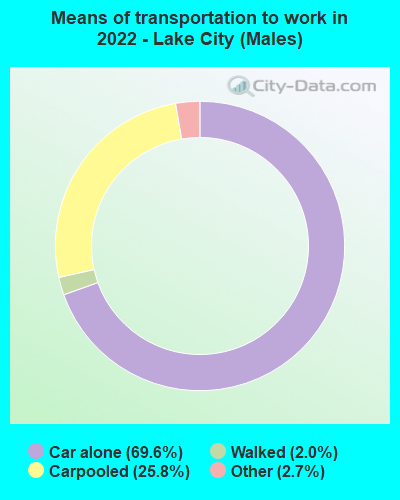 Means of transportation to work in 2022 - Lake City (Males)