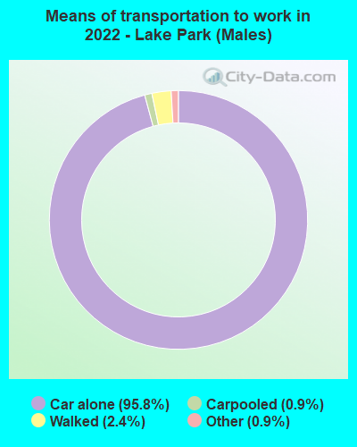 Means of transportation to work in 2022 - Lake Park (Males)