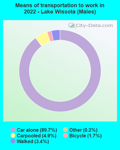 Means of transportation to work in 2022 - Lake Wissota (Males)