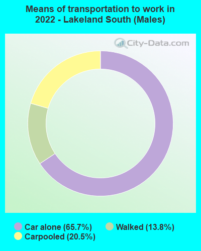 Means of transportation to work in 2022 - Lakeland South (Males)