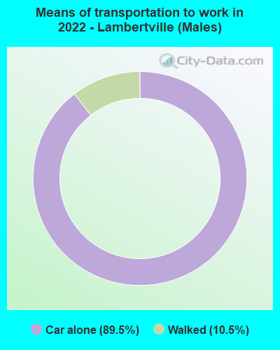 Means of transportation to work in 2022 - Lambertville (Males)