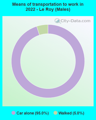 Means of transportation to work in 2022 - Le Roy (Males)