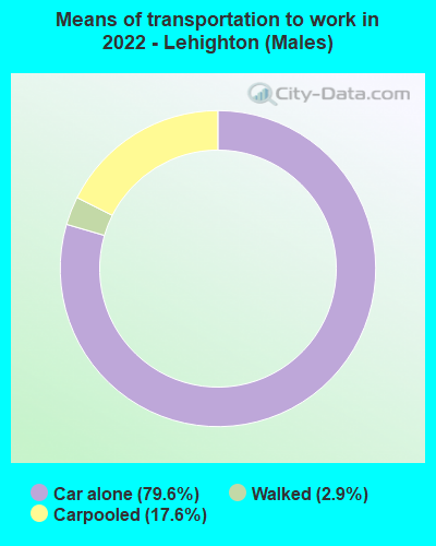 Means of transportation to work in 2022 - Lehighton (Males)