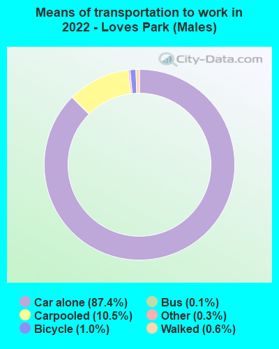 Means of transportation to work in 2022 - Loves Park (Males)