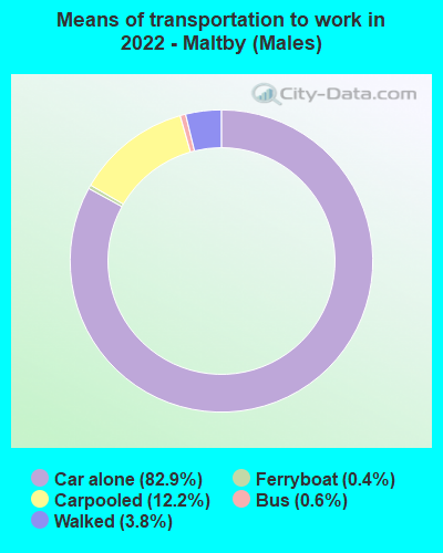 Means of transportation to work in 2022 - Maltby (Males)