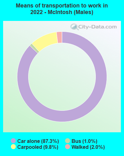 Means of transportation to work in 2022 - McIntosh (Males)