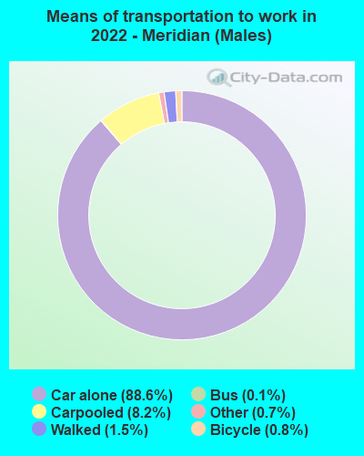 Means of transportation to work in 2022 - Meridian (Males)