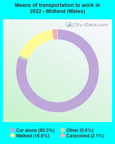 Means of transportation to work in 2022 - Midland (Males)