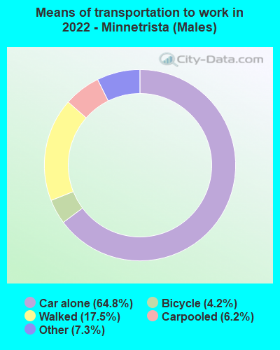 Means of transportation to work in 2022 - Minnetrista (Males)